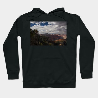 WGC_4384 Hoodie